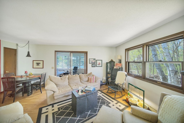 1418 345th Ave, Frederic, WI 54837 - living area with wood finished floors