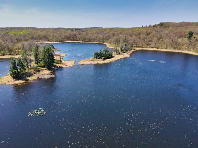 1418 345th Ave, Frederic, WI 54837 - water view with a heavily wooded area