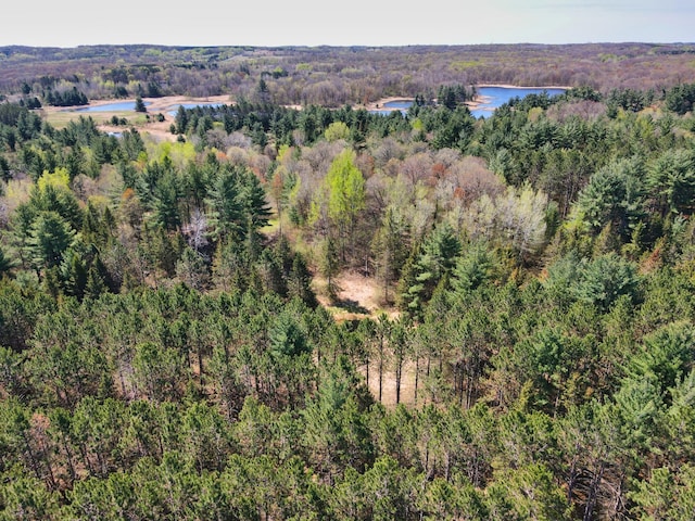 1418 345th Ave, Frederic, WI 54837 - aerial view of a forest and a nearby body of water