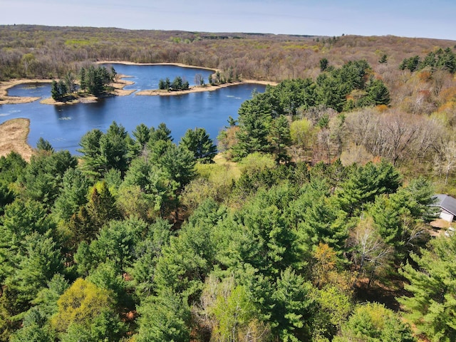 1418 345th Ave, Frederic, WI 54837 - aerial view of a forest and a large body of water