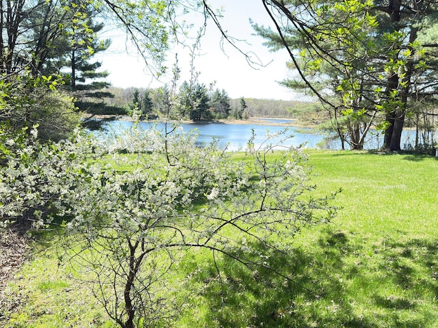 1418 345th Ave, Frederic, WI 54837 - water view