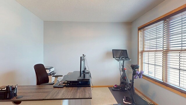 exercise room with carpet flooring, a textured ceiling, and baseboards
