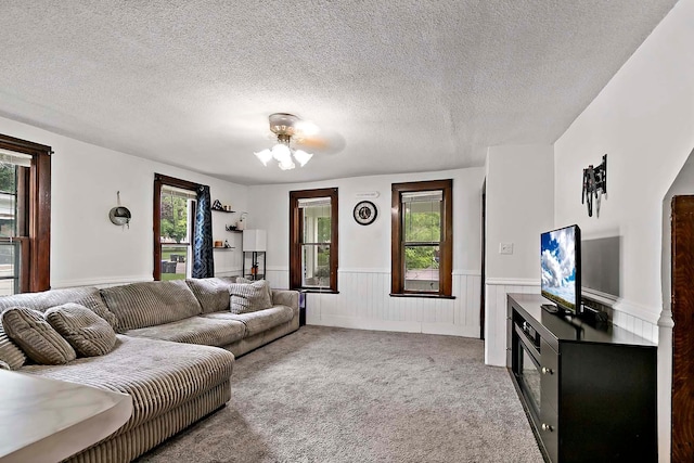 706 Broad St, Mankato, MN 56001 - living room with wainscoting, carpet flooring, and a textured ceiling