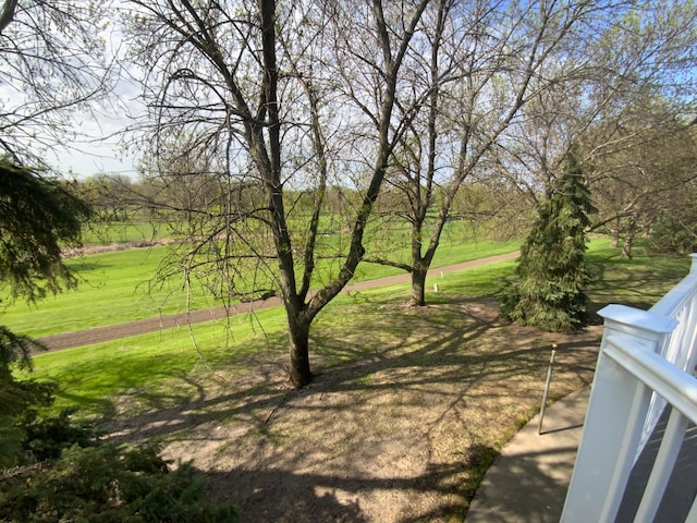 view of grassy yard