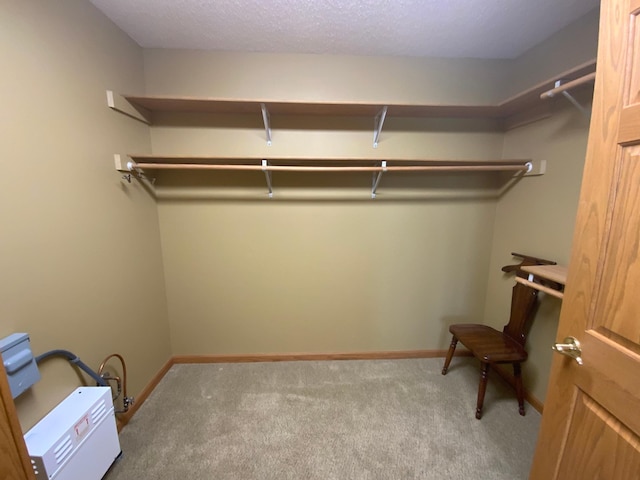 spacious closet featuring carpet