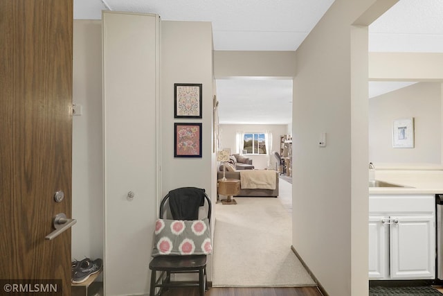 3300 Louisiana Ave S Unit 517, Saint Louis Park, MN 55426 - hall with a sink and carpet
