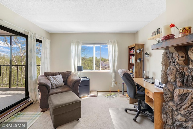 3300 Louisiana Ave S Unit 517, Saint Louis Park, MN 55426 - home office with healthy amount of natural light, carpet flooring, and a textured ceiling