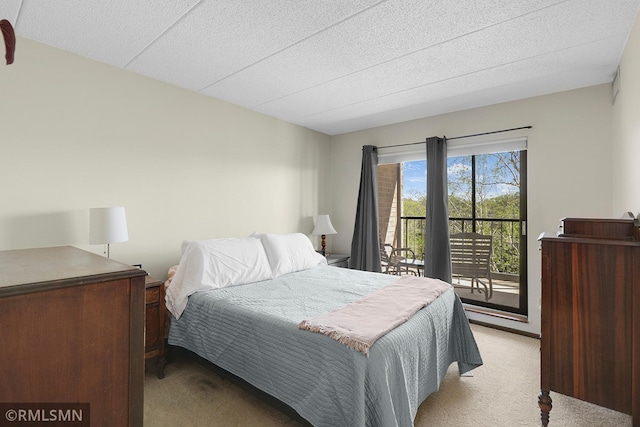 3300 Louisiana Ave S Unit 517, Saint Louis Park, MN 55426 - bedroom featuring carpet and access to exterior