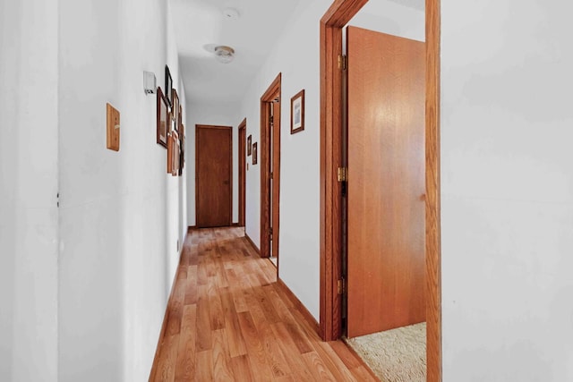 hall with light wood finished floors