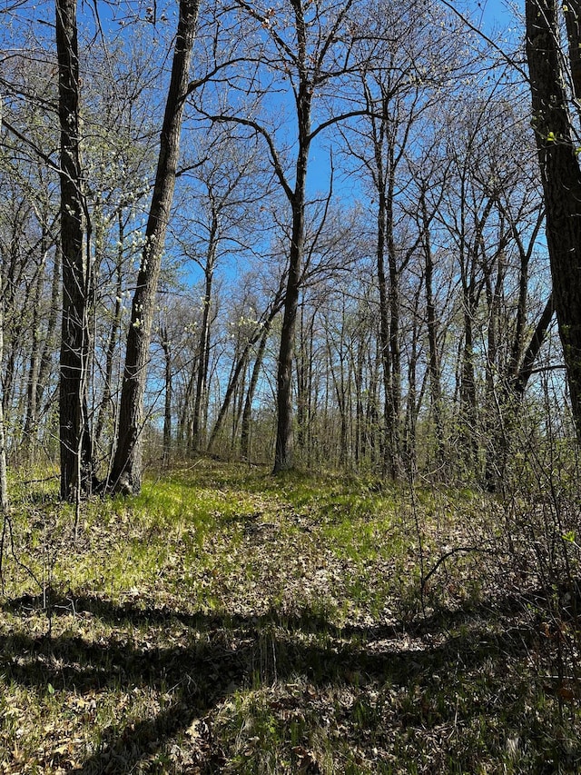 view of undeveloped land