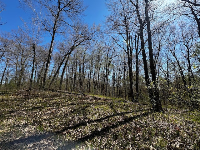 view of tree filled area