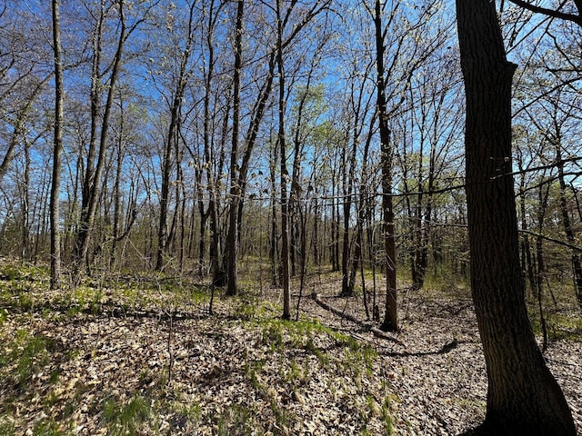 view of local wilderness