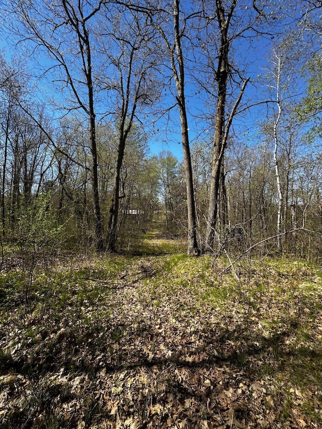 view of tree filled area