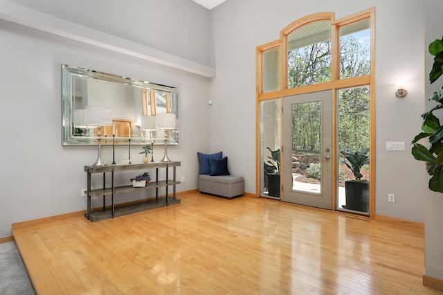 entryway featuring healthy amount of natural light, wood-type flooring, a towering ceiling, and baseboards