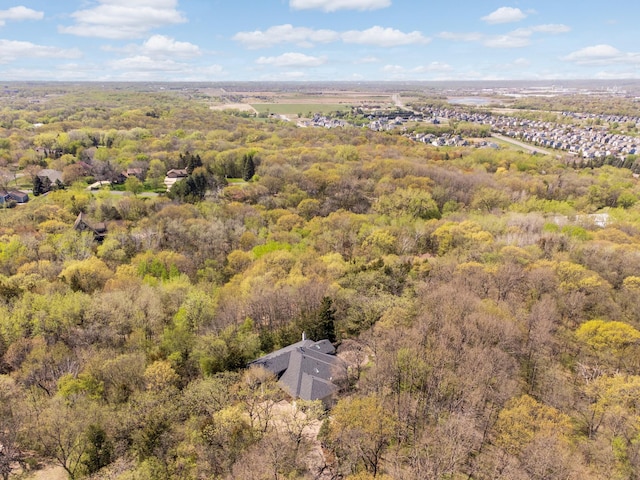 bird's eye view of a forest