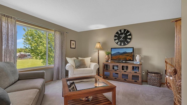 2647 Olive Ln, Sauk Rapids, MN 56379 - view of carpeted living room