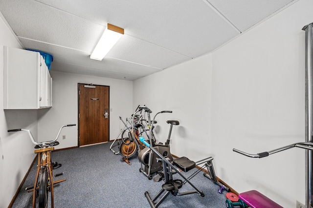 2700 Oxford St N Unit 102, Roseville, MN 55113 - exercise room featuring baseboards and carpet floors