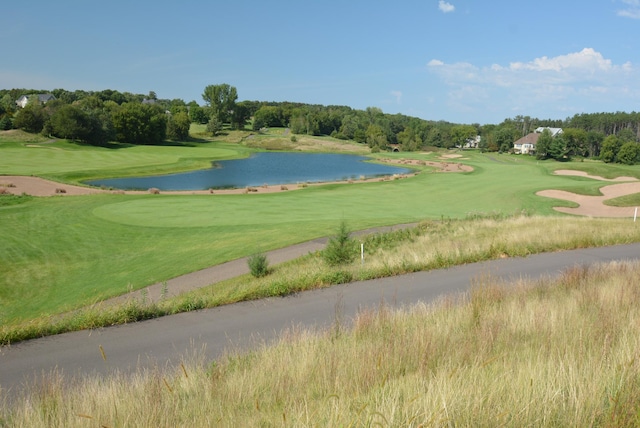 270 Turnberry Ct, Hudson, WI 54016 - photo 83