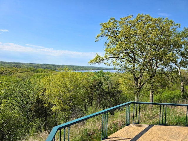 270 Turnberry Ct, Hudson, WI 54016 - photo 99