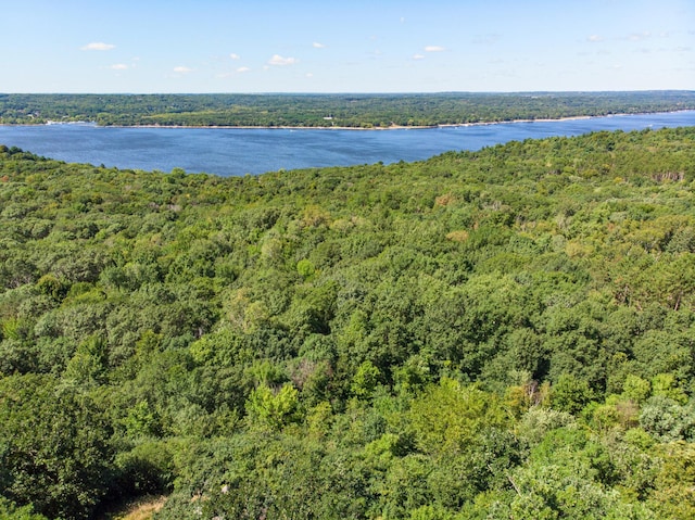 270 Turnberry Ct, Hudson, WI 54016 - photo 100
