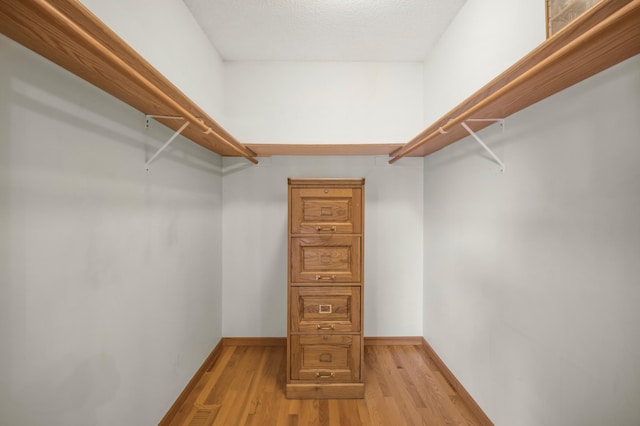 10708 Sycamore St NW, Coon Rapids, MN 55433 - spacious closet with light wood-type flooring