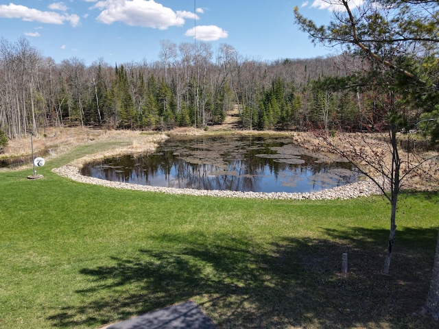 water view with a forest