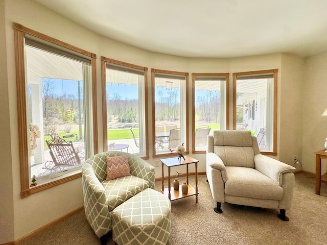 living area featuring carpet floors and baseboards