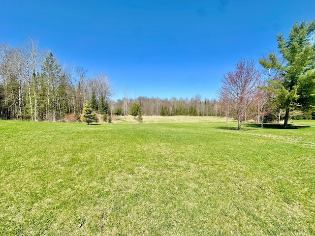 view of green lawn