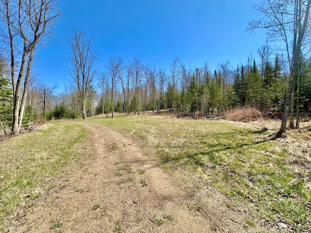 view of dirt / gravel road