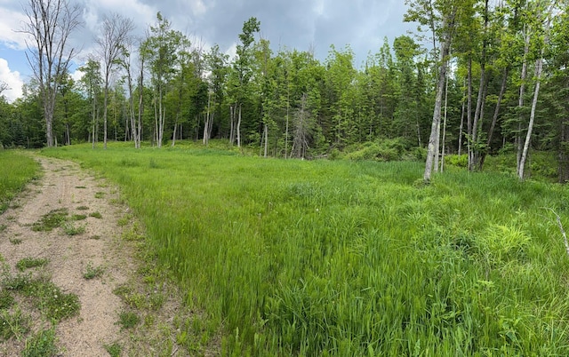 27722 Mallum Dr, Trout Lake Twp, MN 55709 - view of wooded area