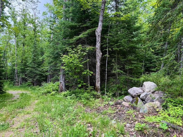 27722 Mallum Dr, Trout Lake Twp, MN 55709 - view of wooded area