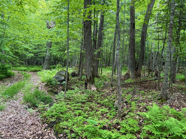 27722 Mallum Dr, Trout Lake Twp, MN 55709 - view of wooded area