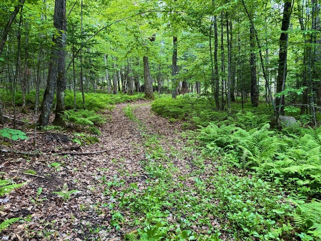 27722 Mallum Dr, Trout Lake Twp, MN 55709 - view of woods