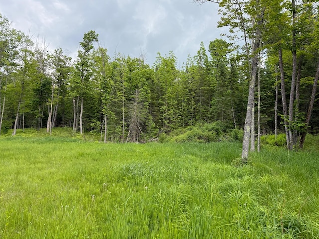 27722 Mallum Dr, Trout Lake Twp, MN 55709 - view of woods