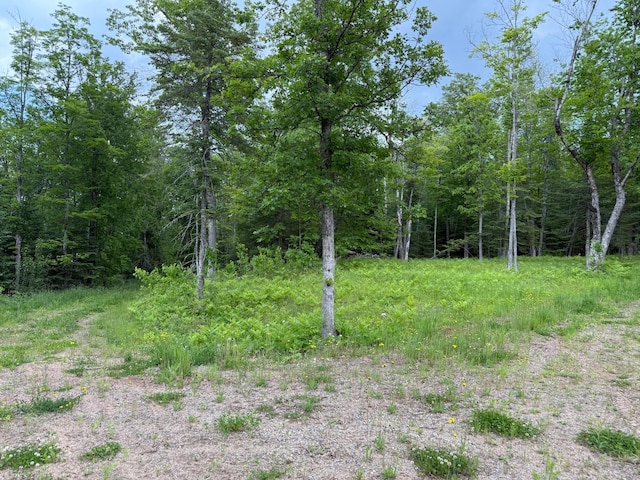 27722 Mallum Dr, Trout Lake Twp, MN 55709 - view of tree filled area