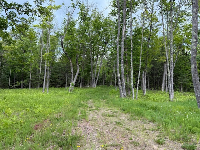 27722 Mallum Dr, Trout Lake Twp, MN 55709 - view of tree filled area
