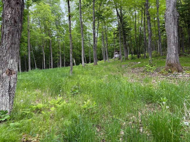 27722 Mallum Dr, Trout Lake Twp, MN 55709 - view of woods