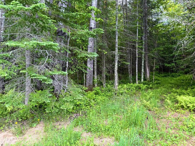 27722 Mallum Dr, Trout Lake Twp, MN 55709 - view of woods
