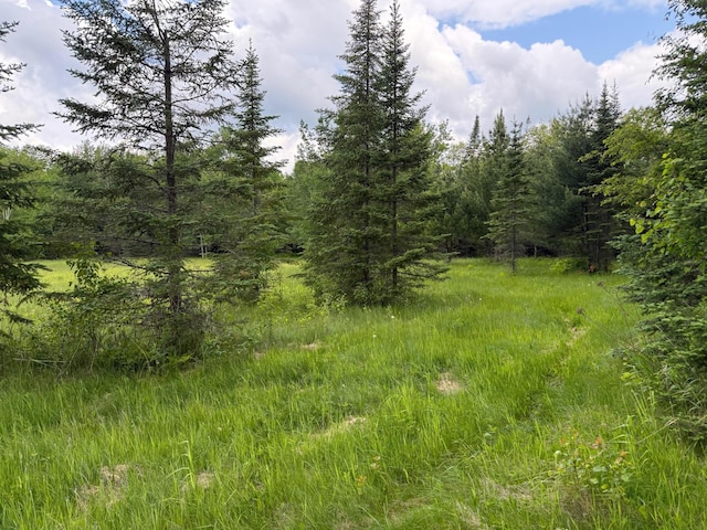 27722 Mallum Dr, Trout Lake Twp, MN 55709 - view of woods