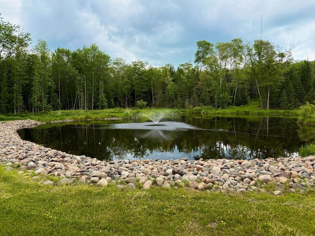27722 Mallum Dr, Trout Lake Twp, MN 55709 - photo 8