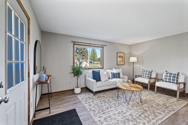 11123 Drake St NW, Coon Rapids, MN 55433 - living room featuring wood finished floors and baseboards
