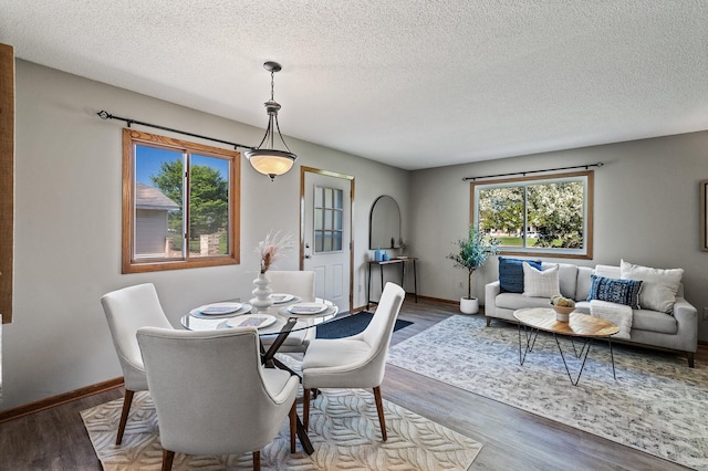 11123 Drake St NW, Coon Rapids, MN 55433 - dining room featuring wood finished floors, a textured ceiling, and baseboards