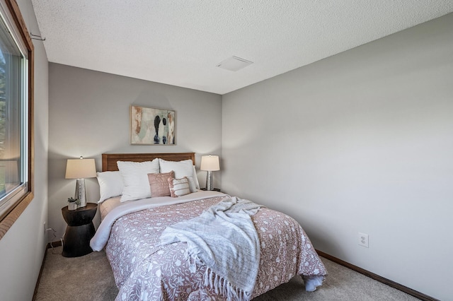 11123 Drake St NW, Coon Rapids, MN 55433 - bedroom with carpet floors, a textured ceiling, and baseboards