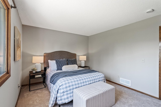 11123 Drake St NW, Coon Rapids, MN 55433 - bedroom with carpet floors and baseboards