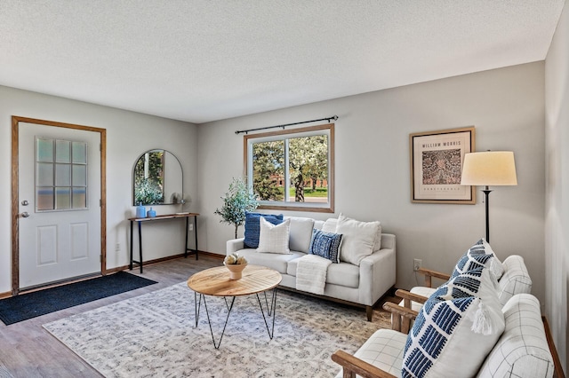 11123 Drake St NW, Coon Rapids, MN 55433 - living area with wood finished floors, a textured ceiling, and baseboards