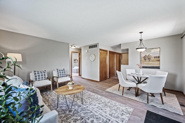 11123 Drake St NW, Coon Rapids, MN 55433 - living area with light wood finished floors and baseboards