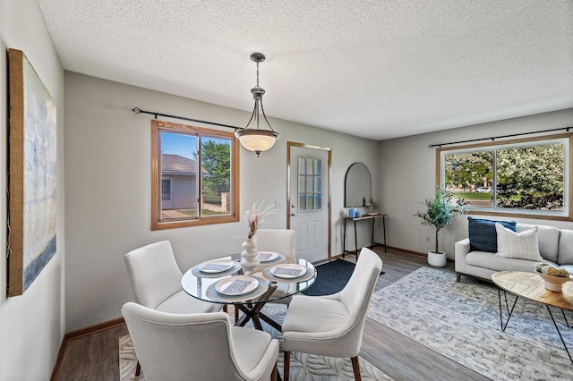 11123 Drake St NW, Coon Rapids, MN 55433 - dining room featuring baseboards, a textured ceiling, and wood finished floors