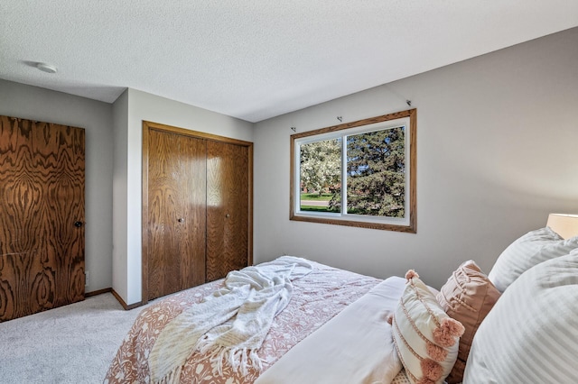 11123 Drake St NW, Coon Rapids, MN 55433 - carpeted bedroom featuring a closet, baseboards, and a textured ceiling