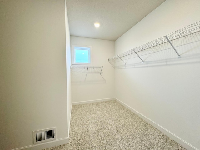 7499 Odell Ave NE, Otsego, MN 55330 - walk in closet featuring carpet flooring