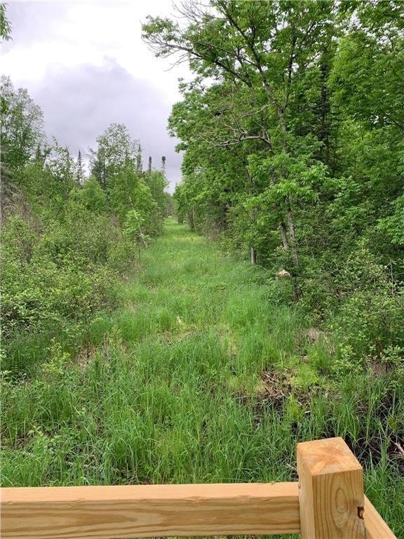 view of local wilderness
